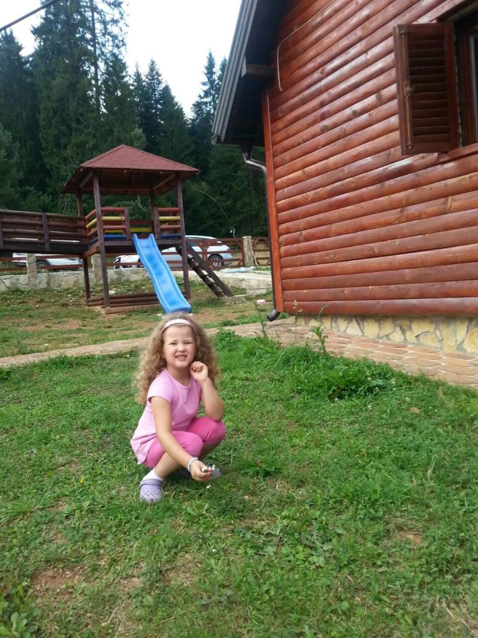 Vila Balerina Mitrovac Zewnętrze zdjęcie