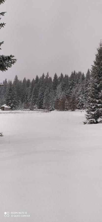 Vila Balerina Mitrovac Zewnętrze zdjęcie